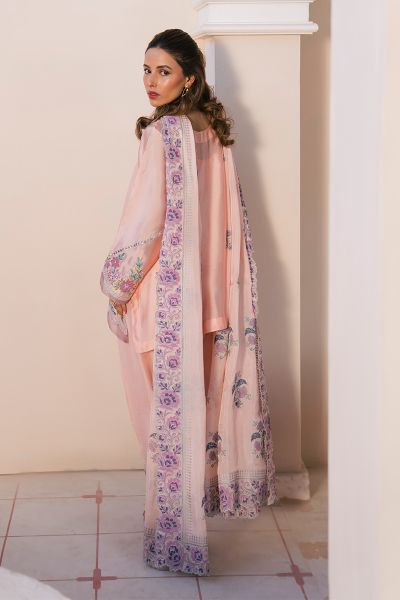 Picture of Orchid