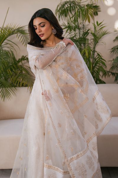 Picture of Lotus