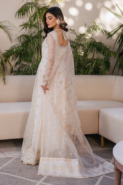 Picture of Lotus