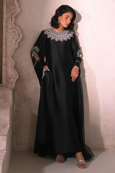 Picture of Black Swan