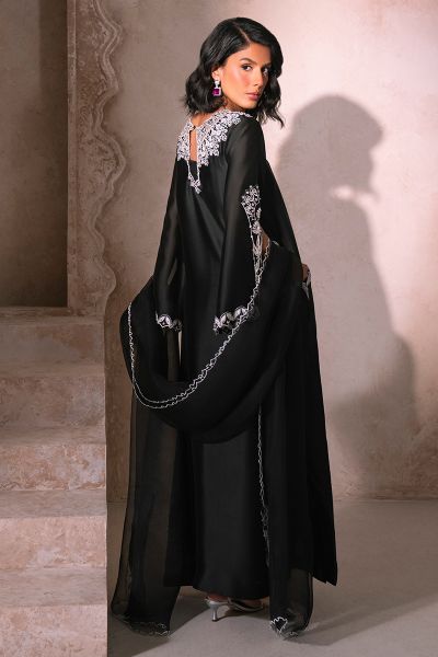 Picture of Black Swan