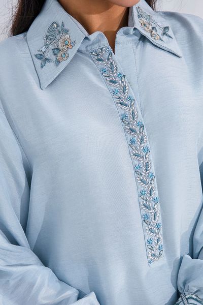 Picture of Blue Bird