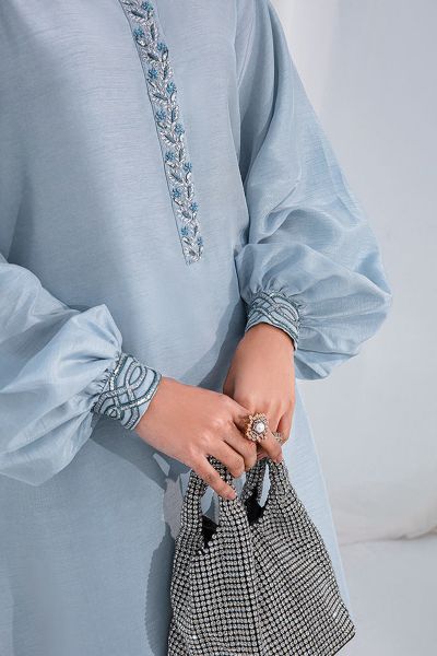 Picture of Blue Bird