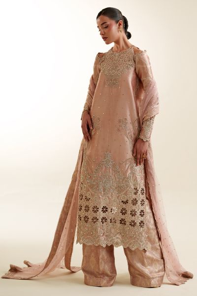 Picture of Apricity