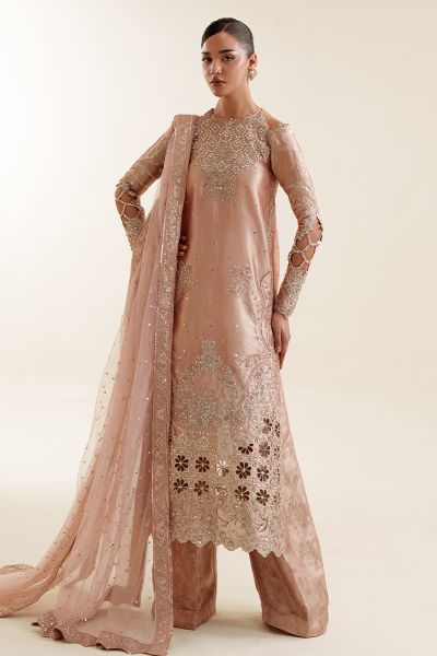 Picture of Apricity